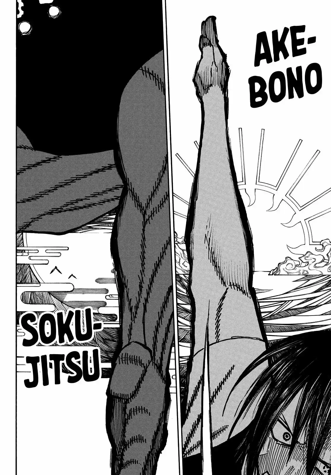Fire Force capítulo 227, página 14
