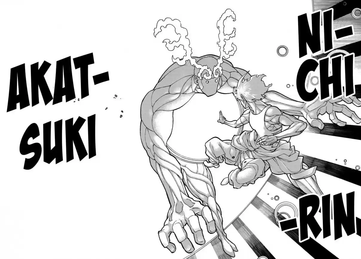 Fire Force capítulo 229, página 13