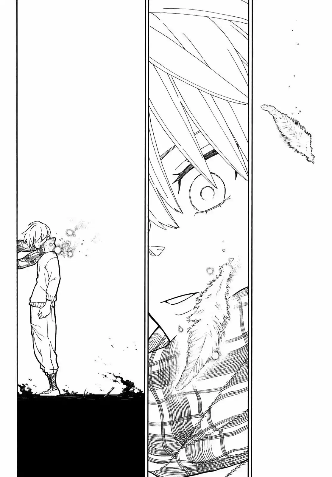Fire Force capítulo 233, página 11