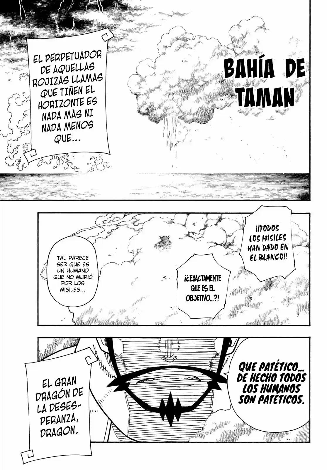 Fire Force capítulo 262, página 17
