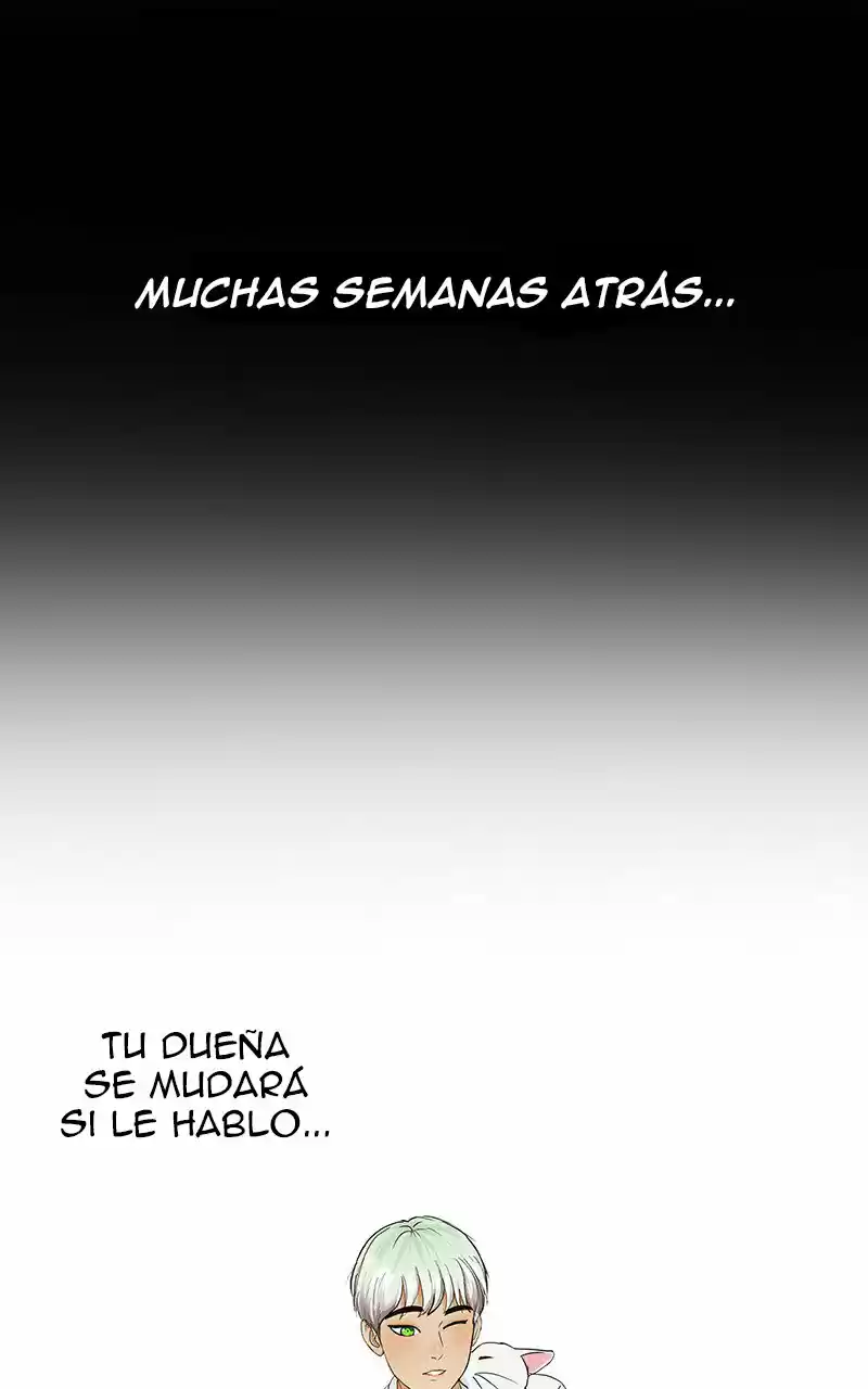 Freaking Romance capítulo 16, página 2