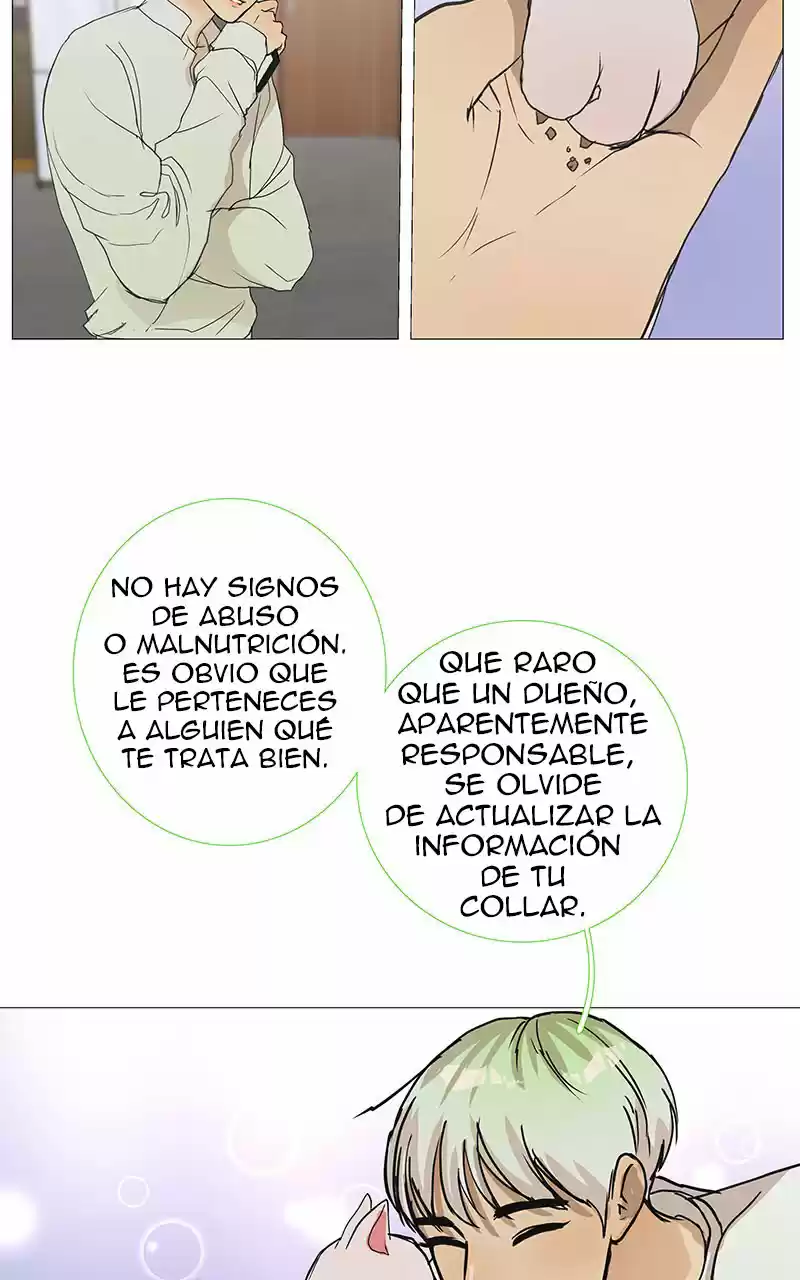 Freaking Romance capítulo 6, página 19