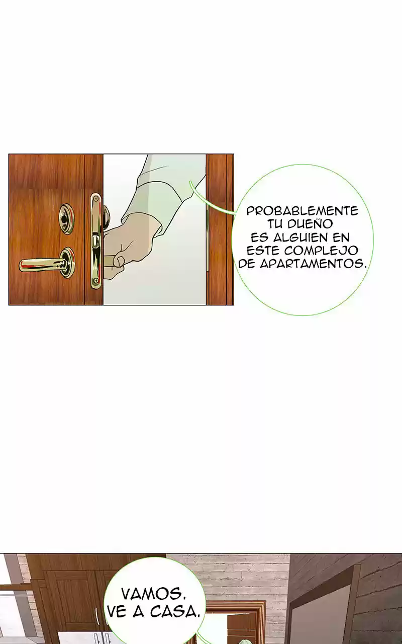 Freaking Romance capítulo 6, página 21