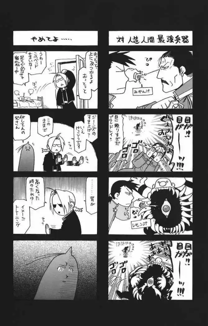 Fullmetal Alchemist capítulo 49, página 41