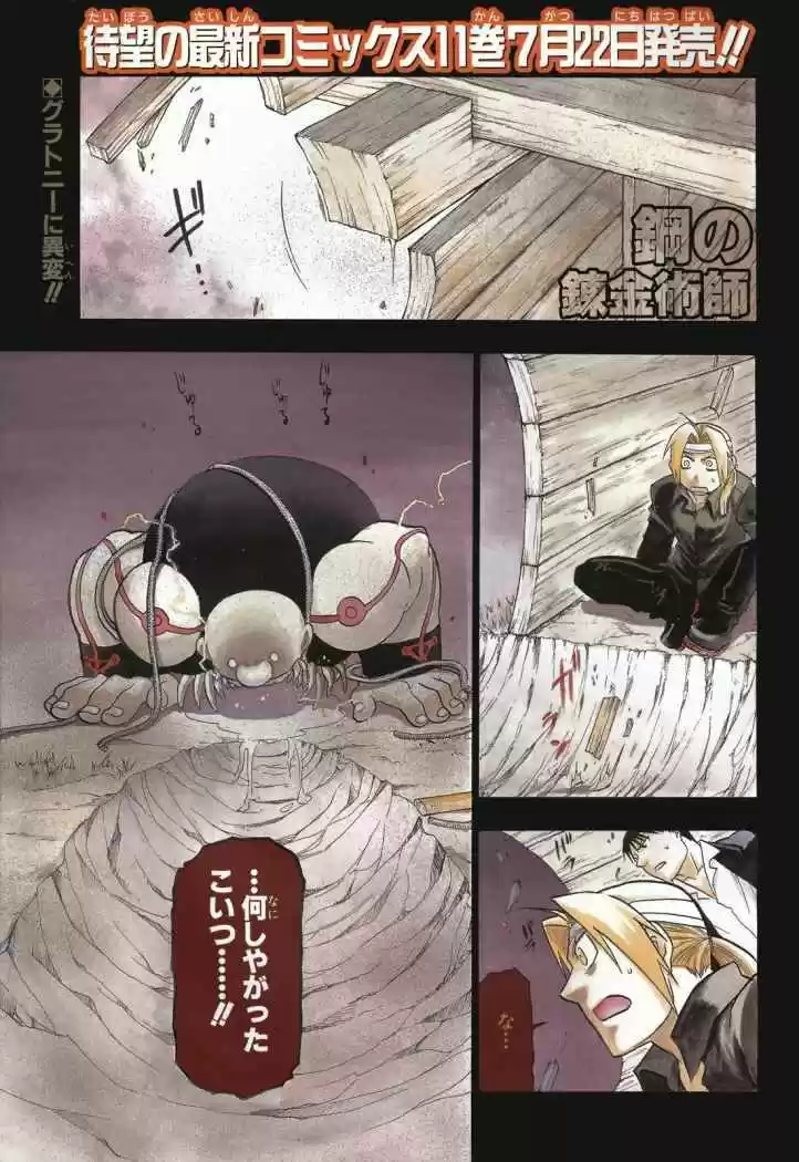 Fullmetal Alchemist capítulo 49, página 45