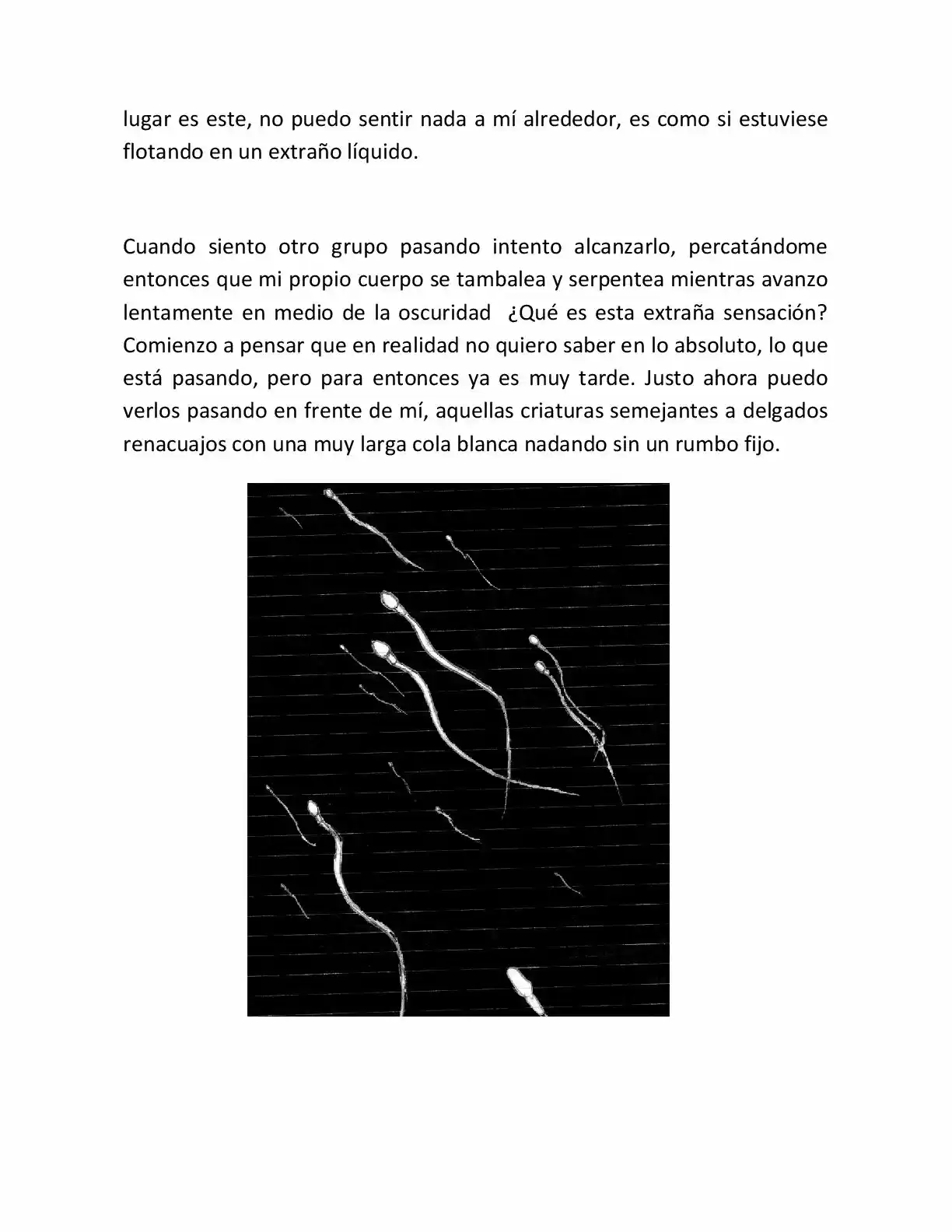 G-Master (Novela) capítulo 1, página 5