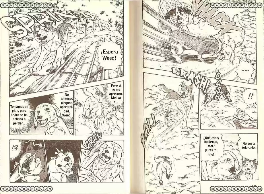Ginga Densetsu Weed capítulo 10, página 4