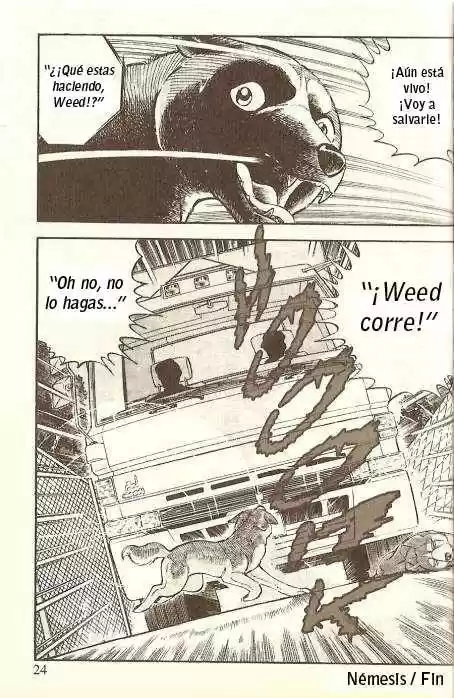 Ginga Densetsu Weed capítulo 12, página 13