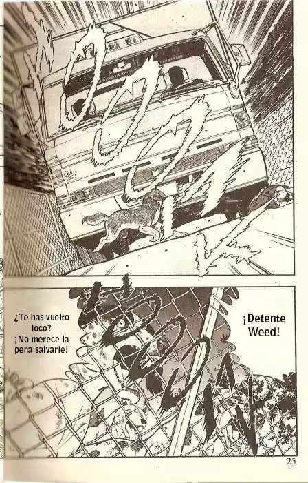 Ginga Densetsu Weed capítulo 13, página 1