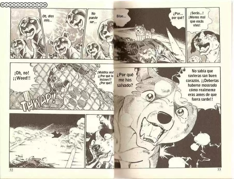 Ginga Densetsu Weed capítulo 13, página 5