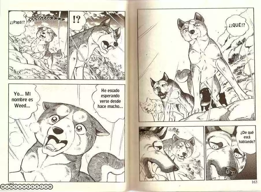 Ginga Densetsu Weed capítulo 19, página 10