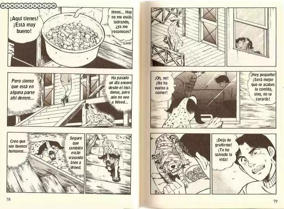 Ginga Densetsu Weed capítulo 25, página 5