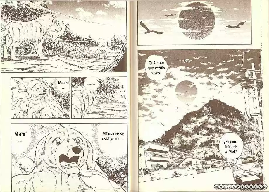Ginga Densetsu Weed capítulo 8, página 9