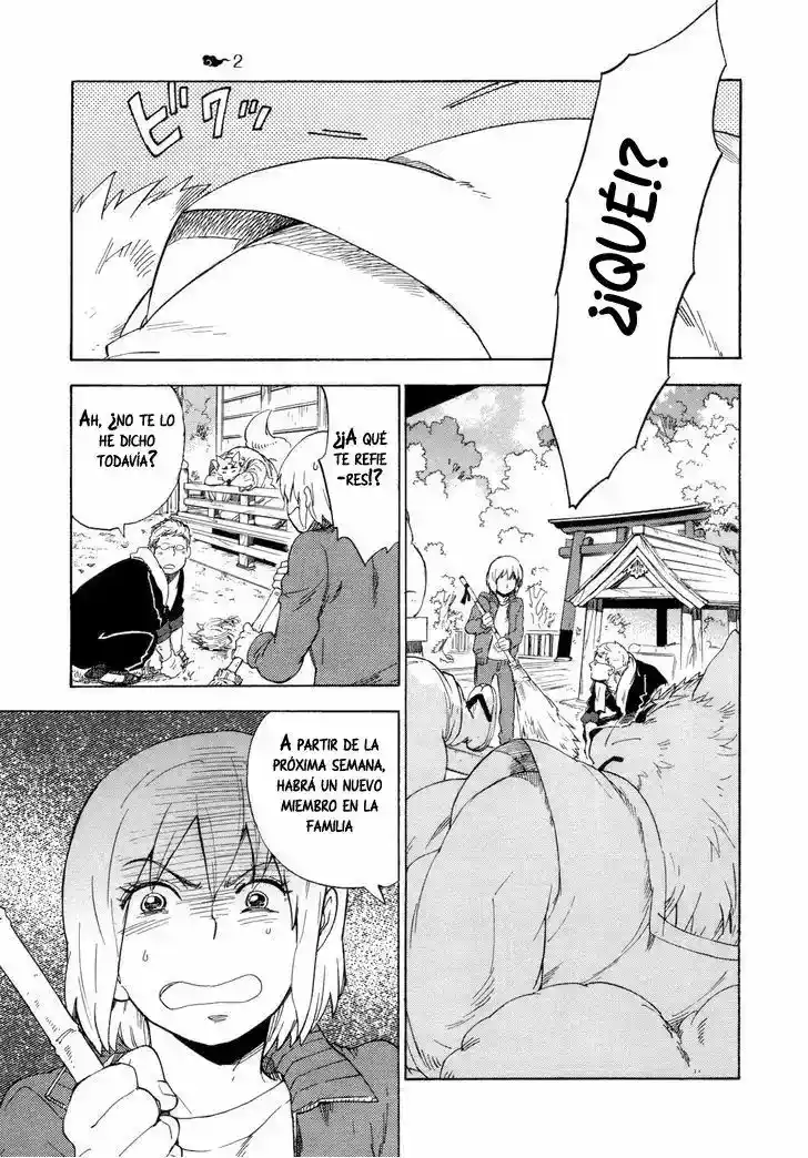 Gingitsune capítulo 6, página 12