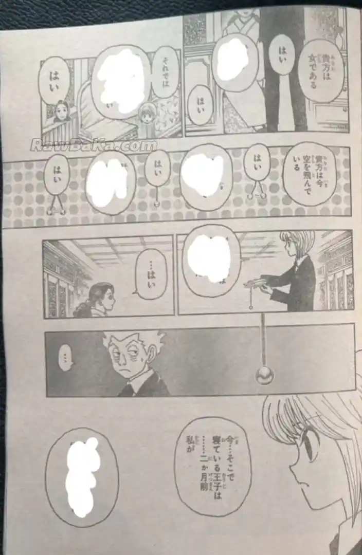 Hunter X Hunter capítulo 412, página 7