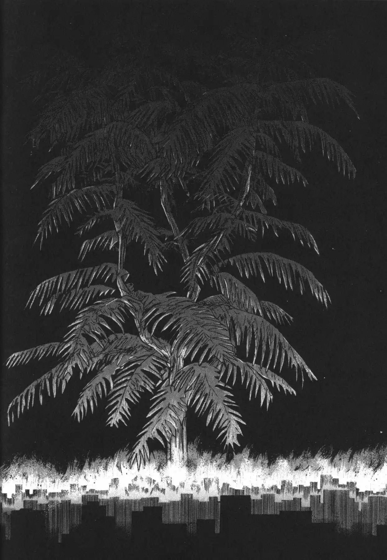 Jacaranda capítulo 1.20, página 32
