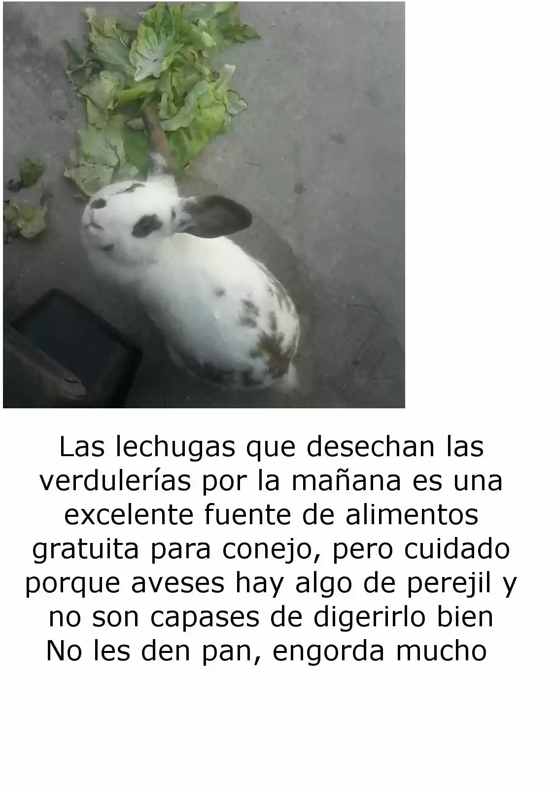 Joshi Kausei capítulo 21, página 17