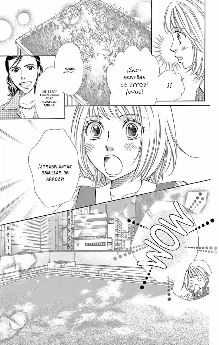 Jun-ai Daiginjo capítulo 2, página 17
