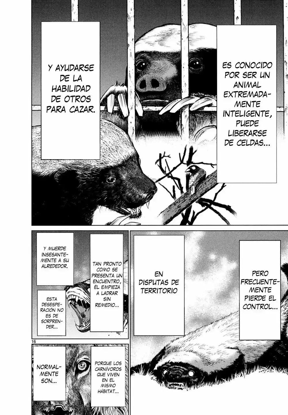 Killing Bites capítulo 26, página 16