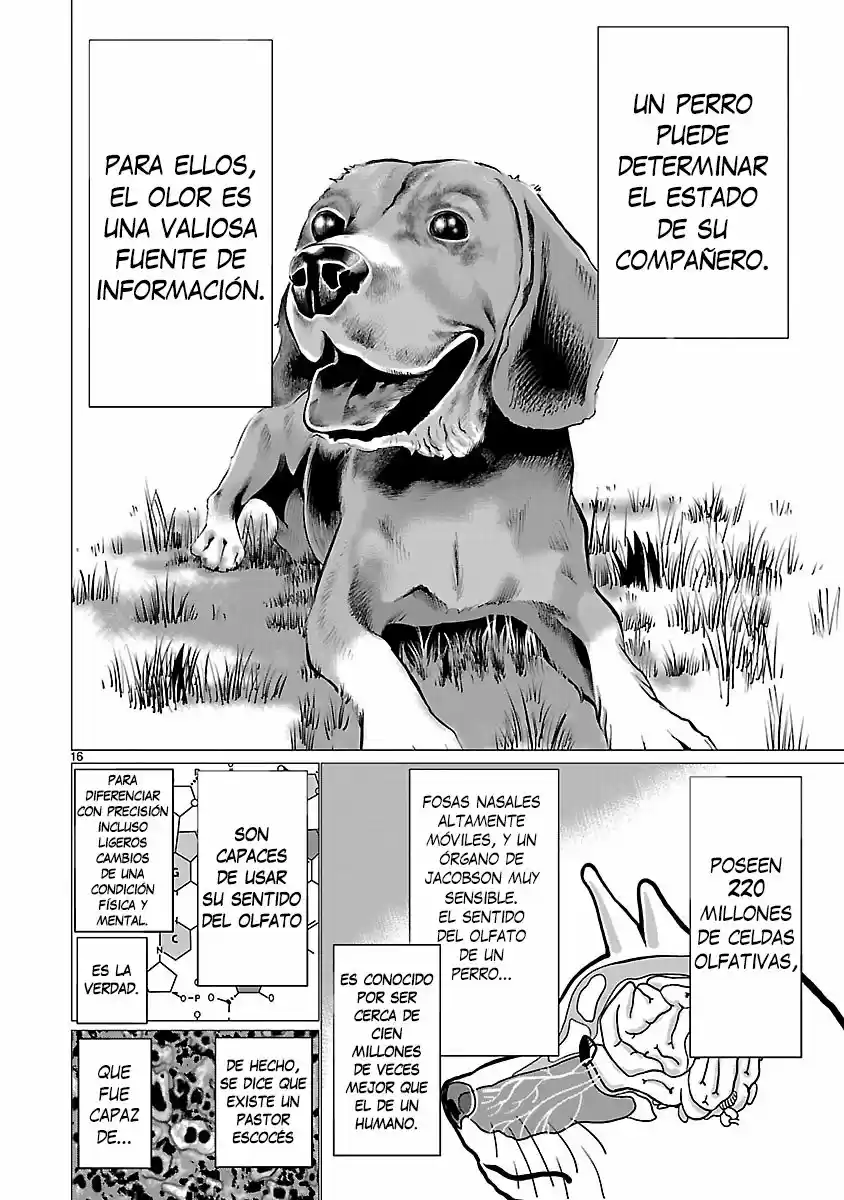 Killing Bites capítulo 37, página 17