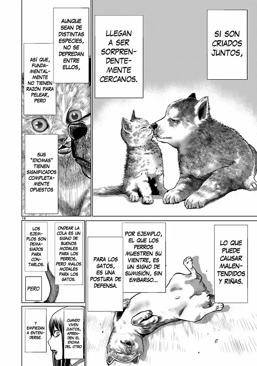 Killing Bites capítulo 39, página 14