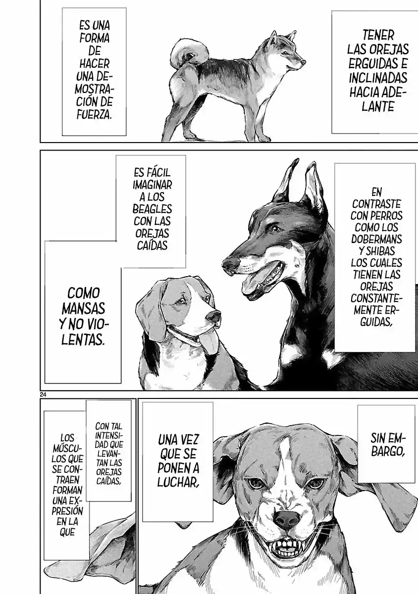 Killing Bites capítulo 66, página 25