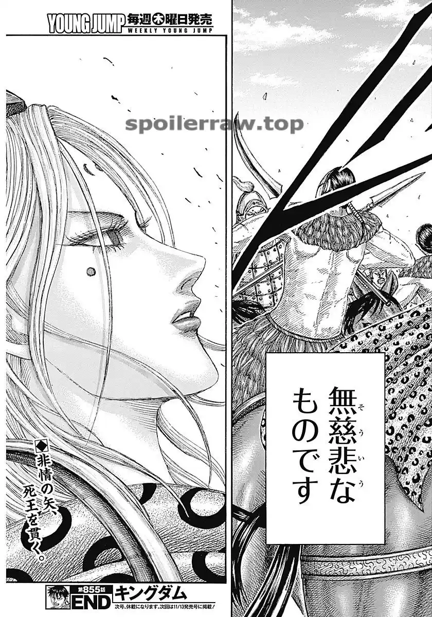 Kingdom capítulo 855, página 19
