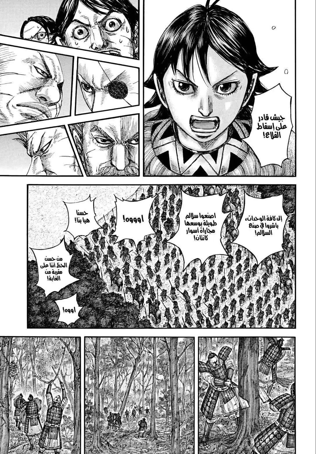 Kingdom capítulo 876, página 12