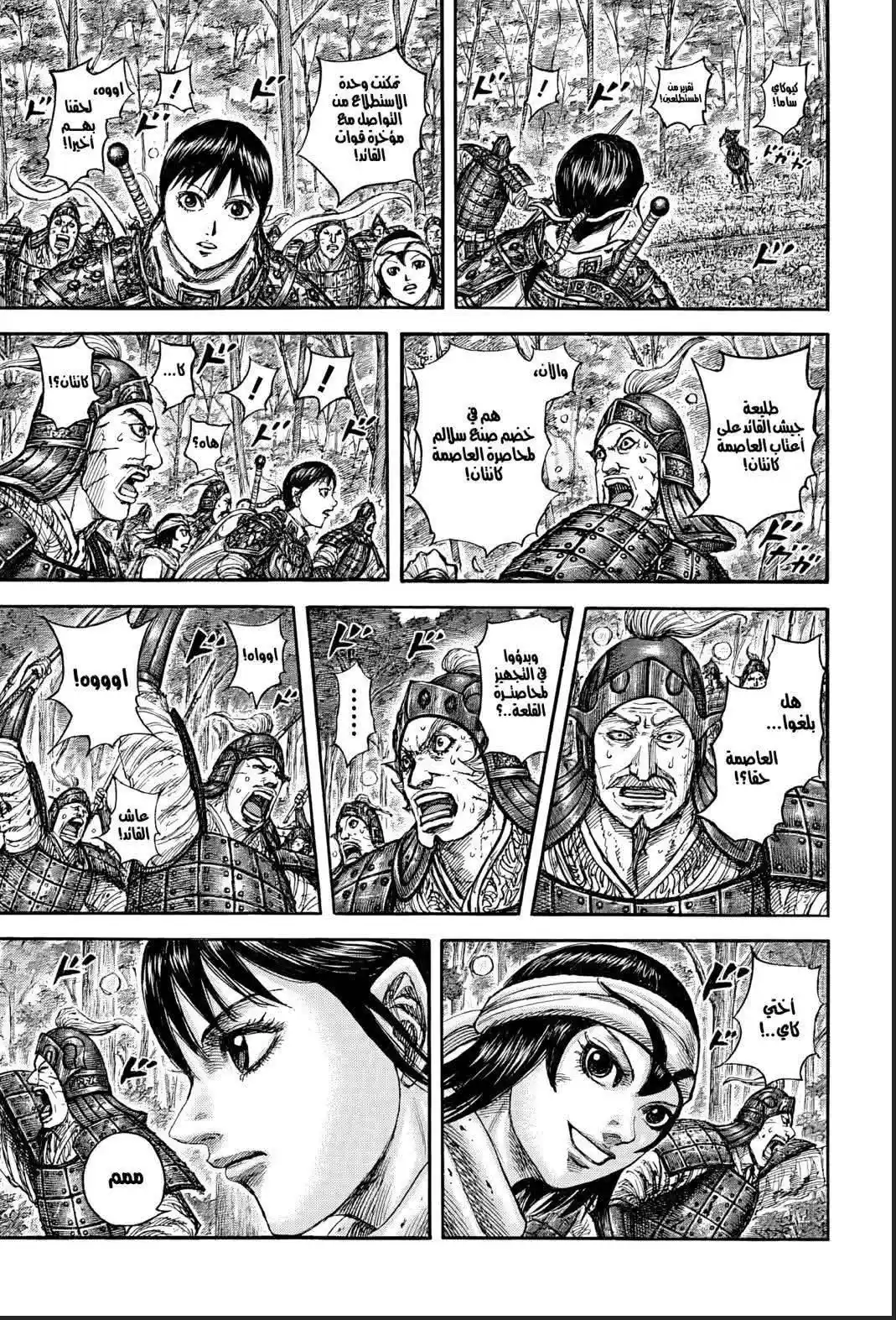 Kingdom capítulo 876, página 14