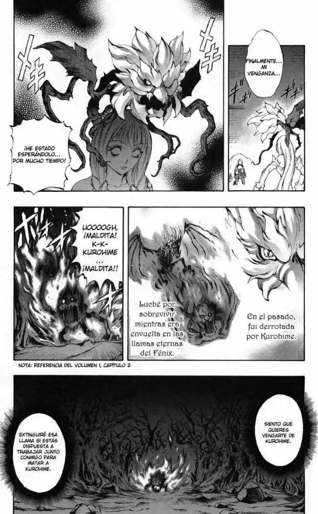 Kurohime capítulo 37, página 25