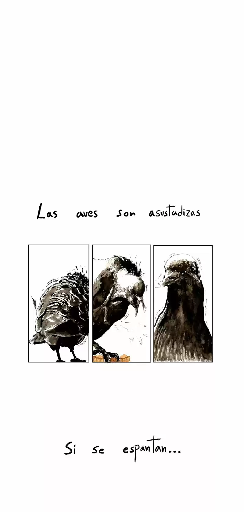 La Pajarera capítulo 2, página 5