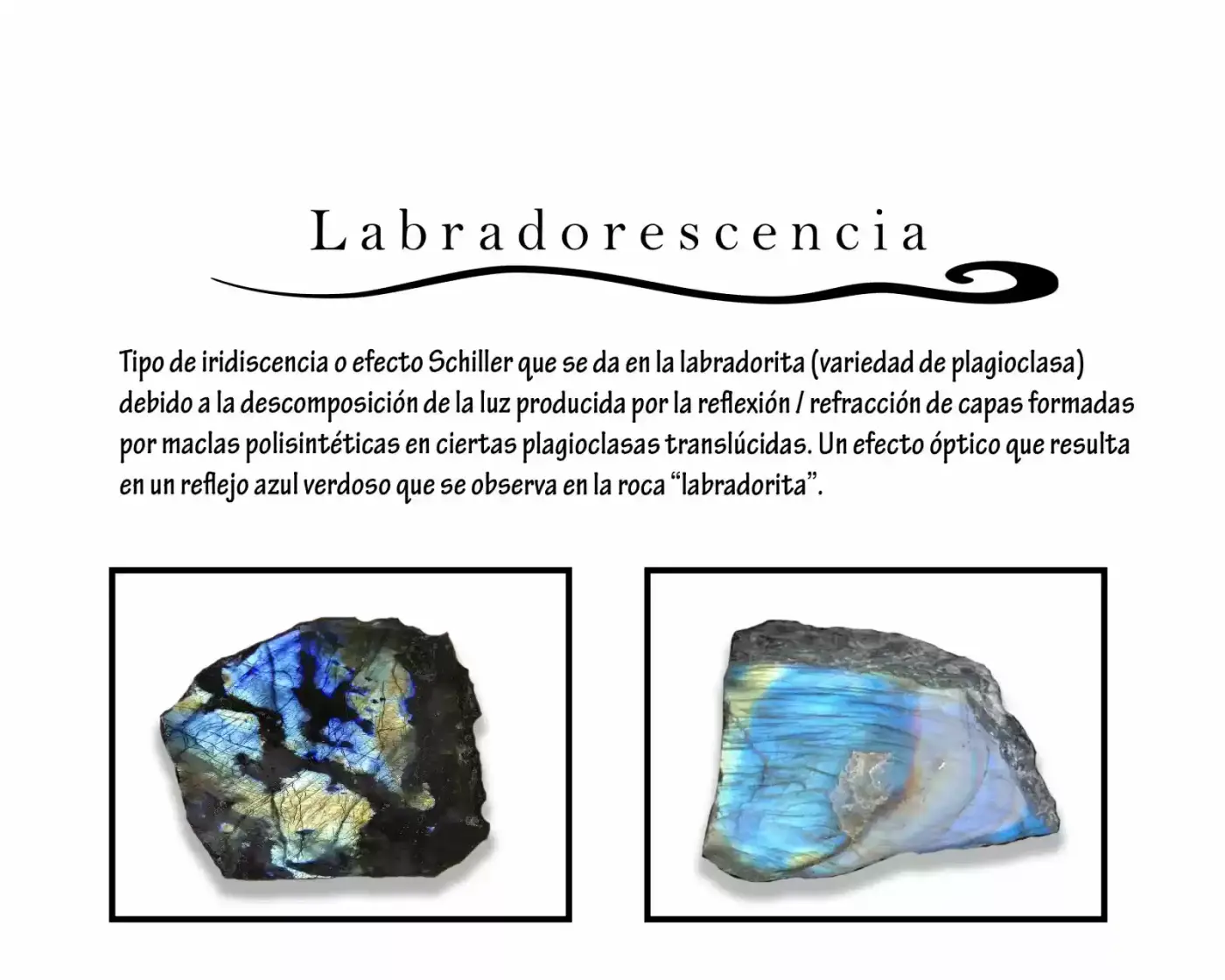 Labradorescence capítulo 1, página 37