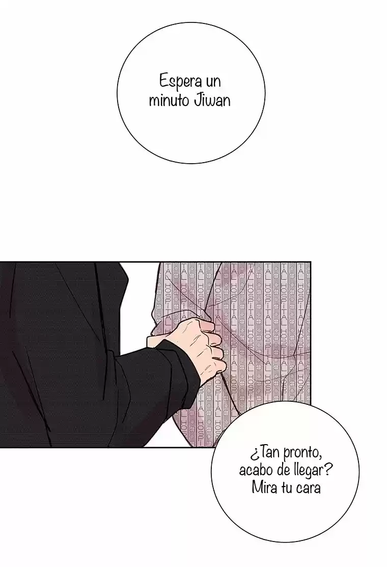 Luz De Primavera capítulo 2, página 17