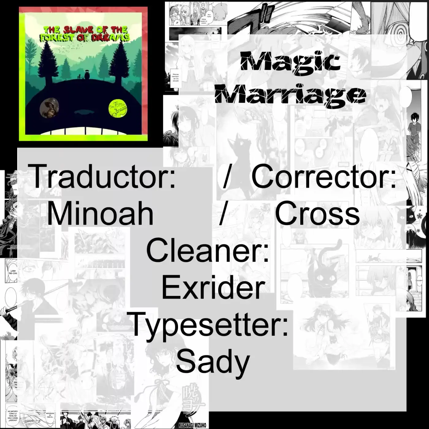 Magic Marriage capítulo 2, página 41