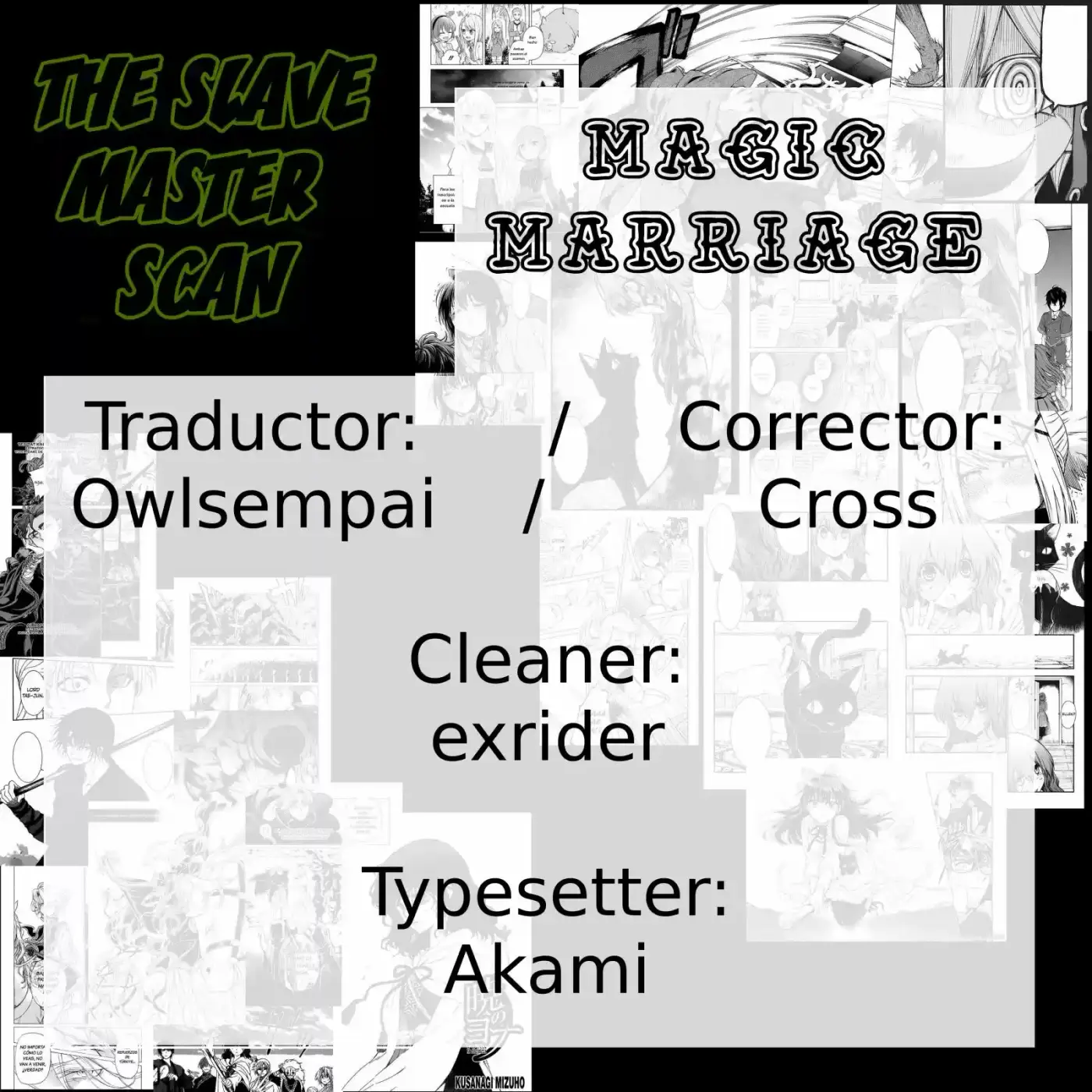 Magic Marriage capítulo 3, página 25