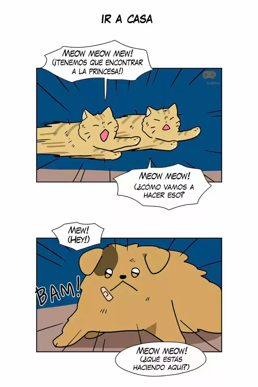 Meow Man capítulo 64, página 21