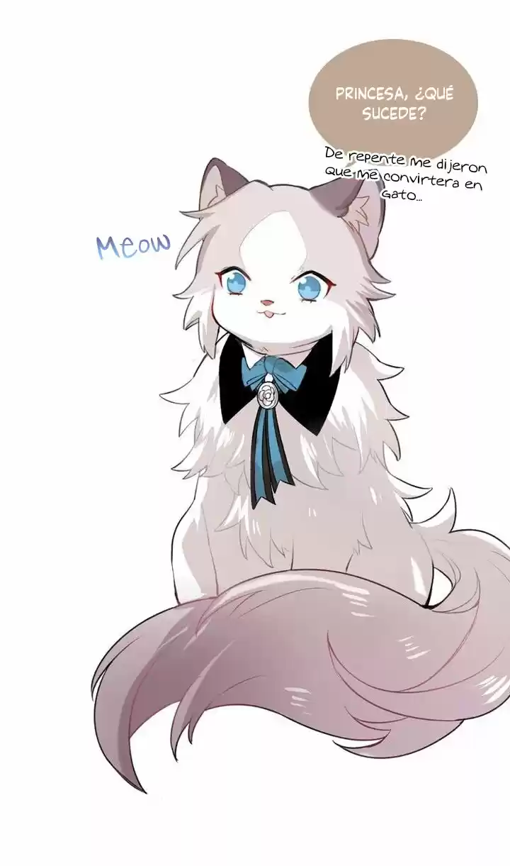 Meow! Please Help, Manager! capítulo 40, página 41