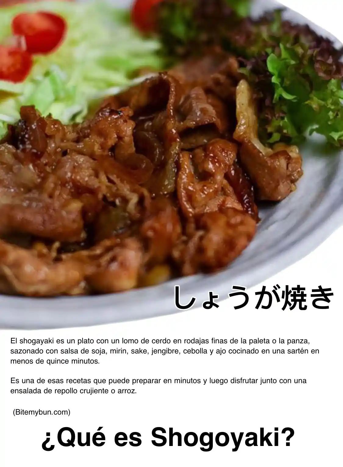 Meshinuma capítulo 6, página 9