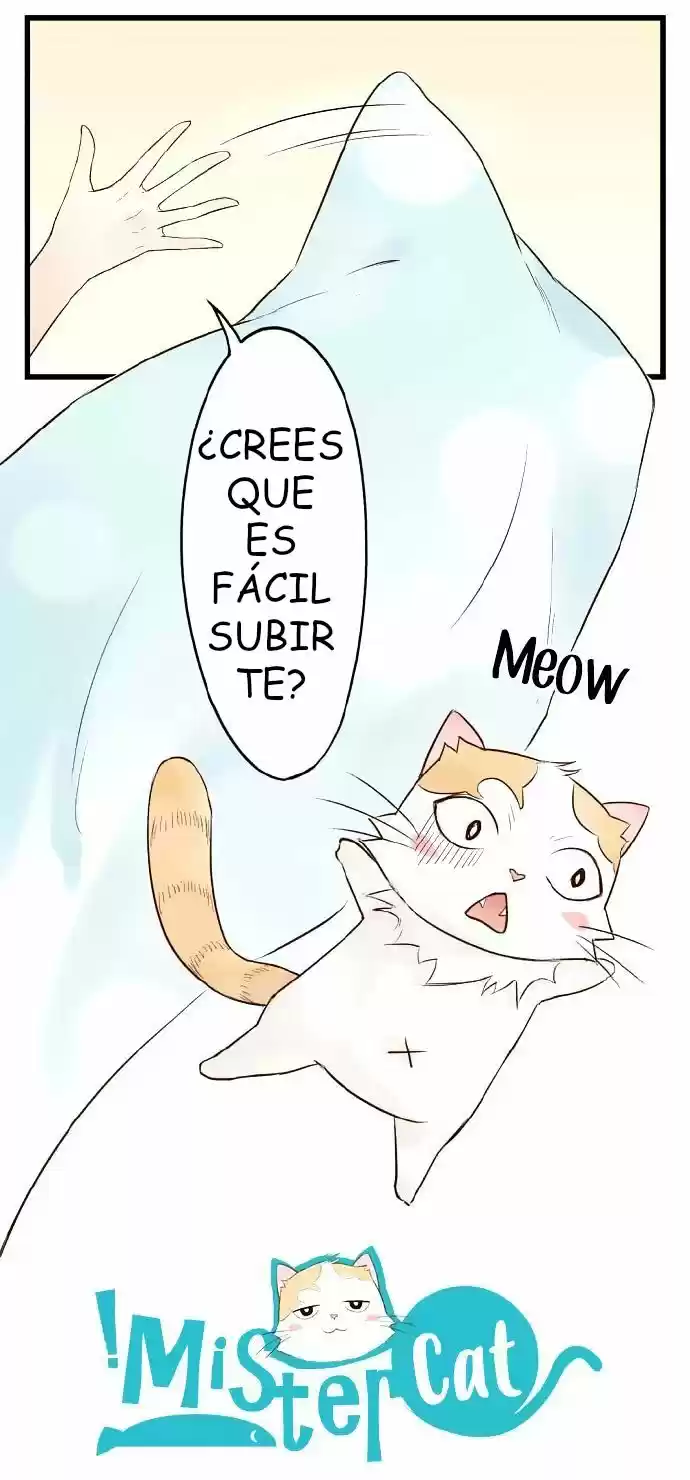 Mister Cat capítulo 1, página 2