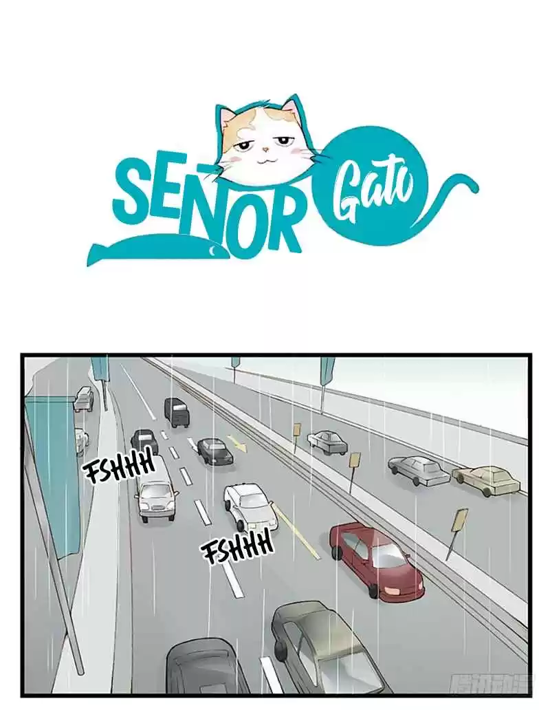 Mister Cat capítulo 10, página 5