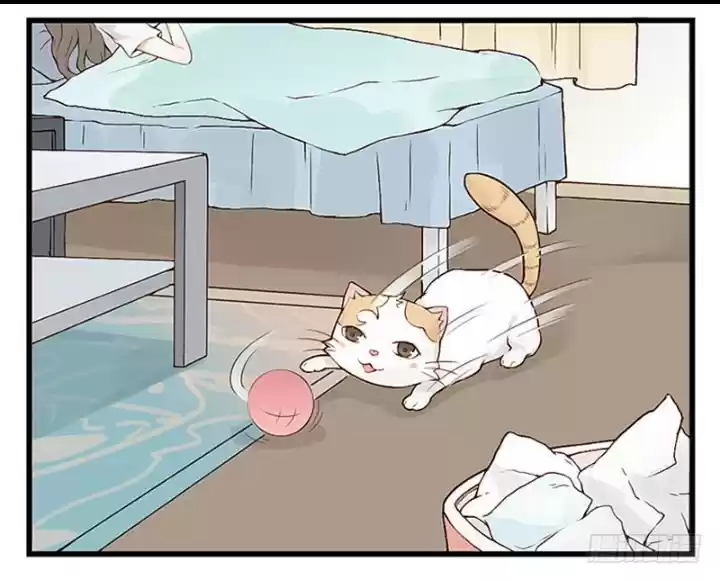 Mister Cat capítulo 11, página 7