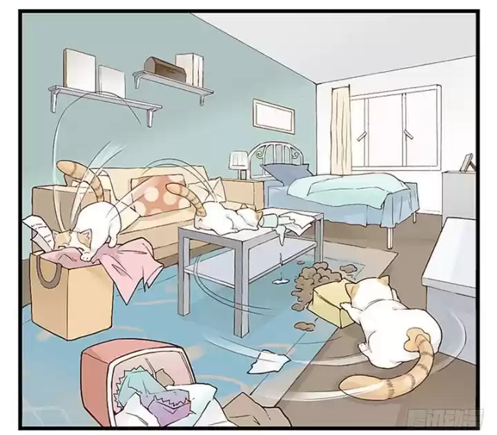 Mister Cat capítulo 11, página 14