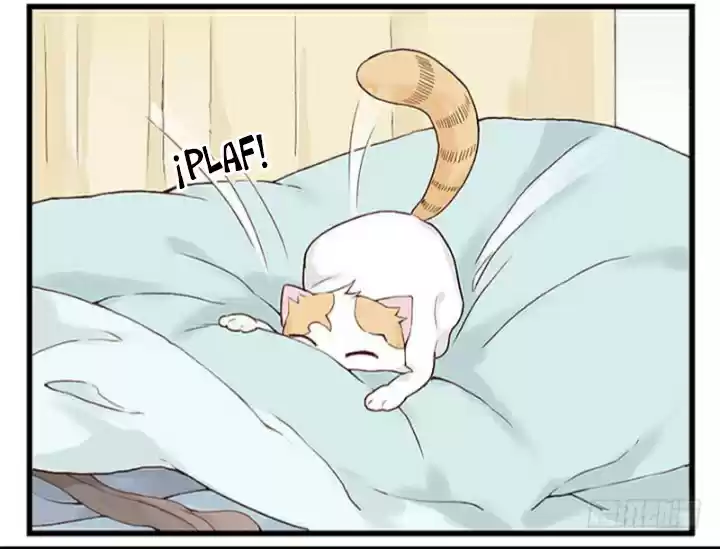 Mister Cat capítulo 11, página 19