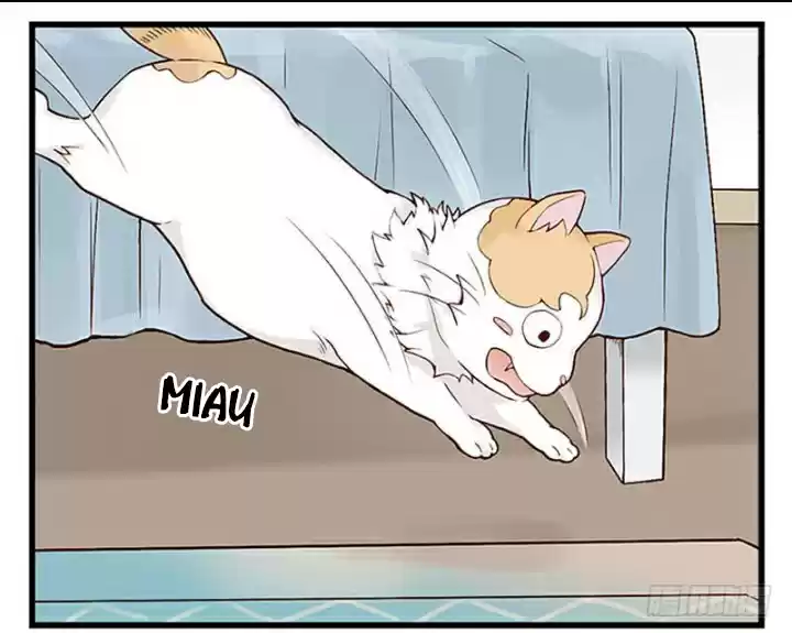 Mister Cat capítulo 11, página 24