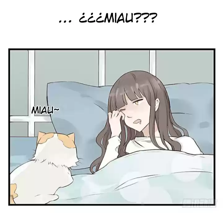 Mister Cat capítulo 4, página 15