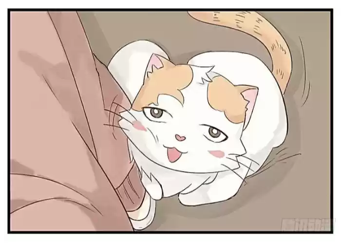 Mister Cat capítulo 4, página 47