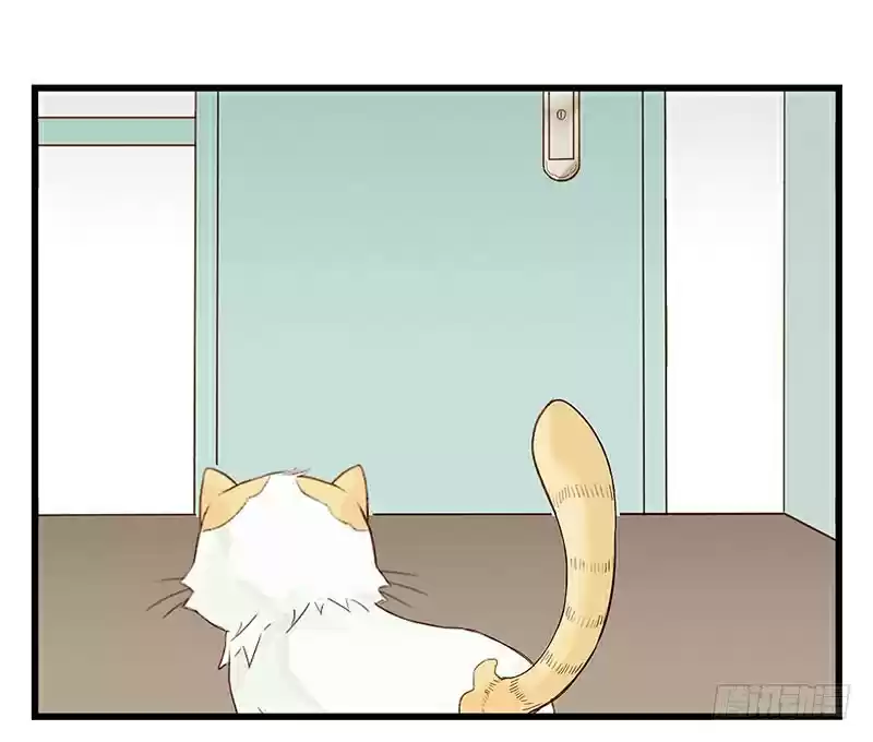 Mister Cat capítulo 8, página 31