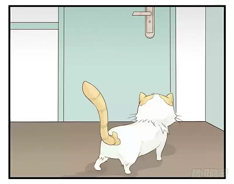 Mister Cat capítulo 8, página 32