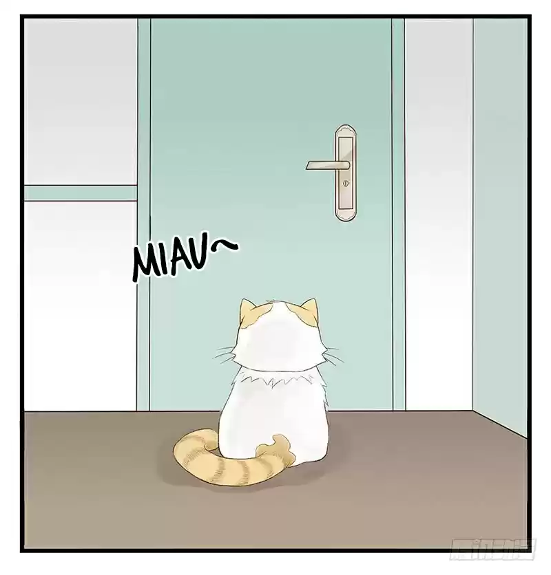 Mister Cat capítulo 8, página 34
