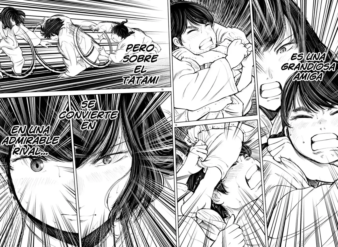 Mou Ippon capítulo 210, página 19
